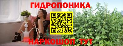 молекула духа Можга