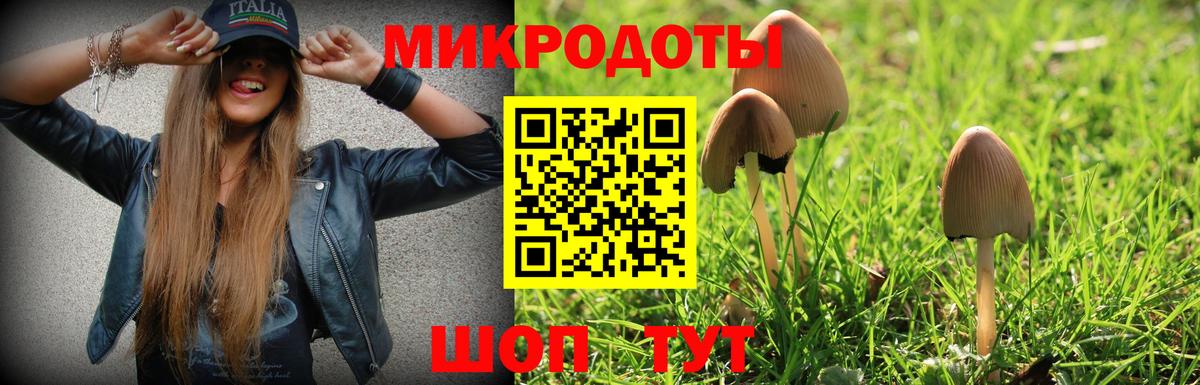 Галлюциногенные грибы Cubensis Тверь