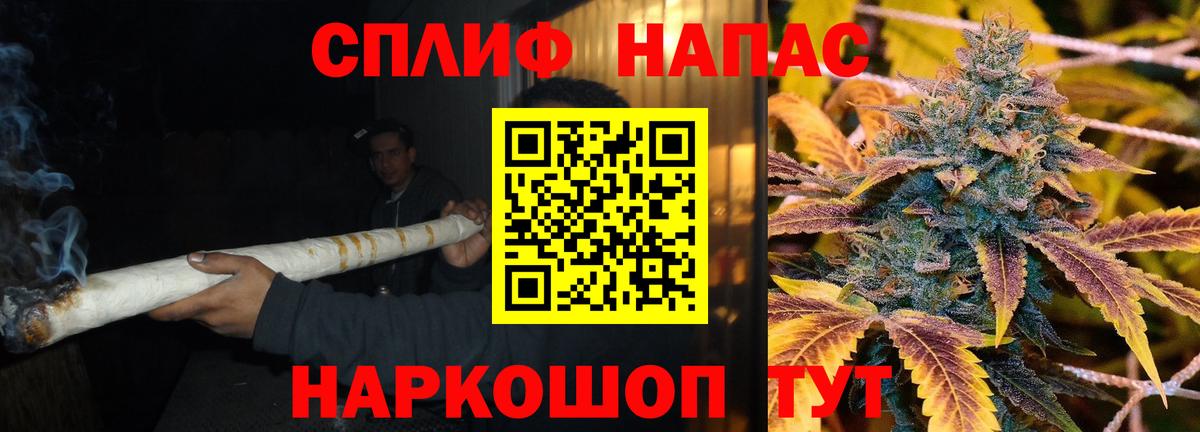 Шишки марихуана конопля Тверь